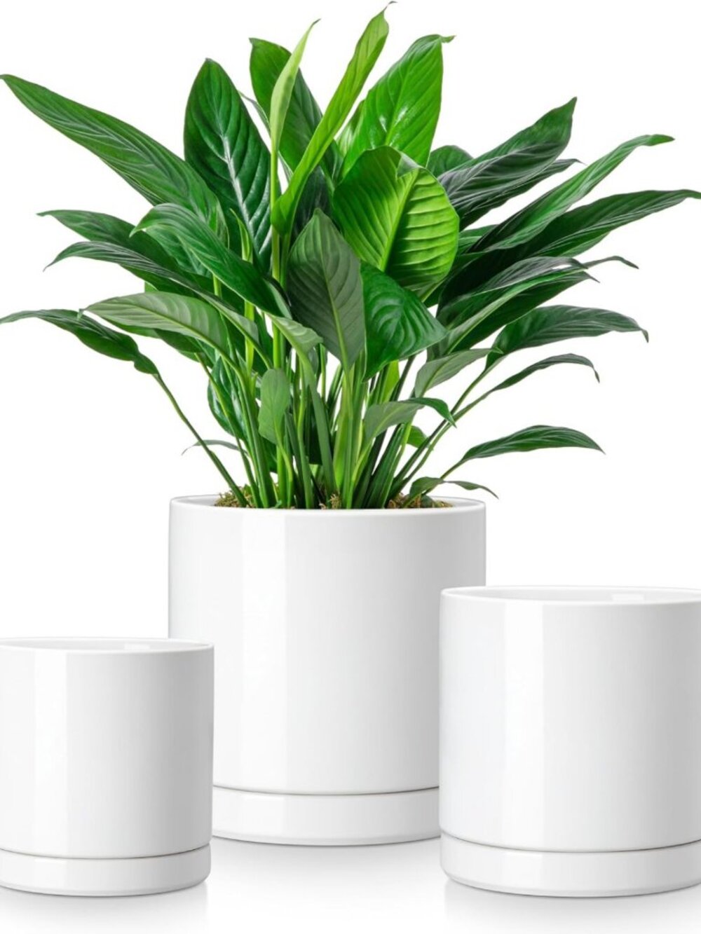 Set of 3 Ceramic Plant Pots for Indoor Plants - Drainage, Succulent & Flower